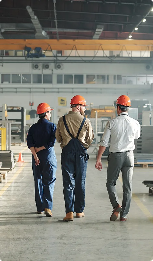 vista posterior de tres jovenes trabajadores